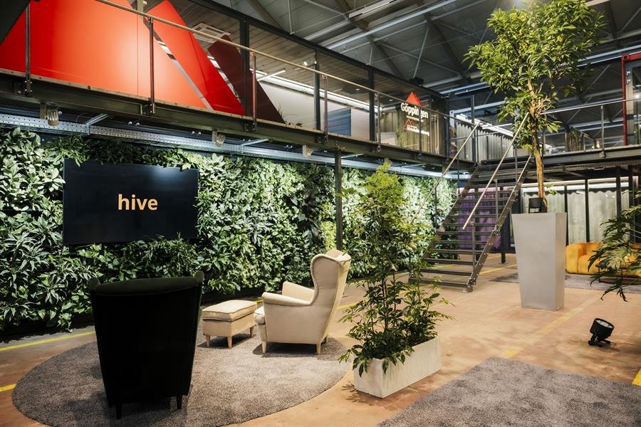 Loungebereich vor einer begrünten Wand mit dem hive-Logo.